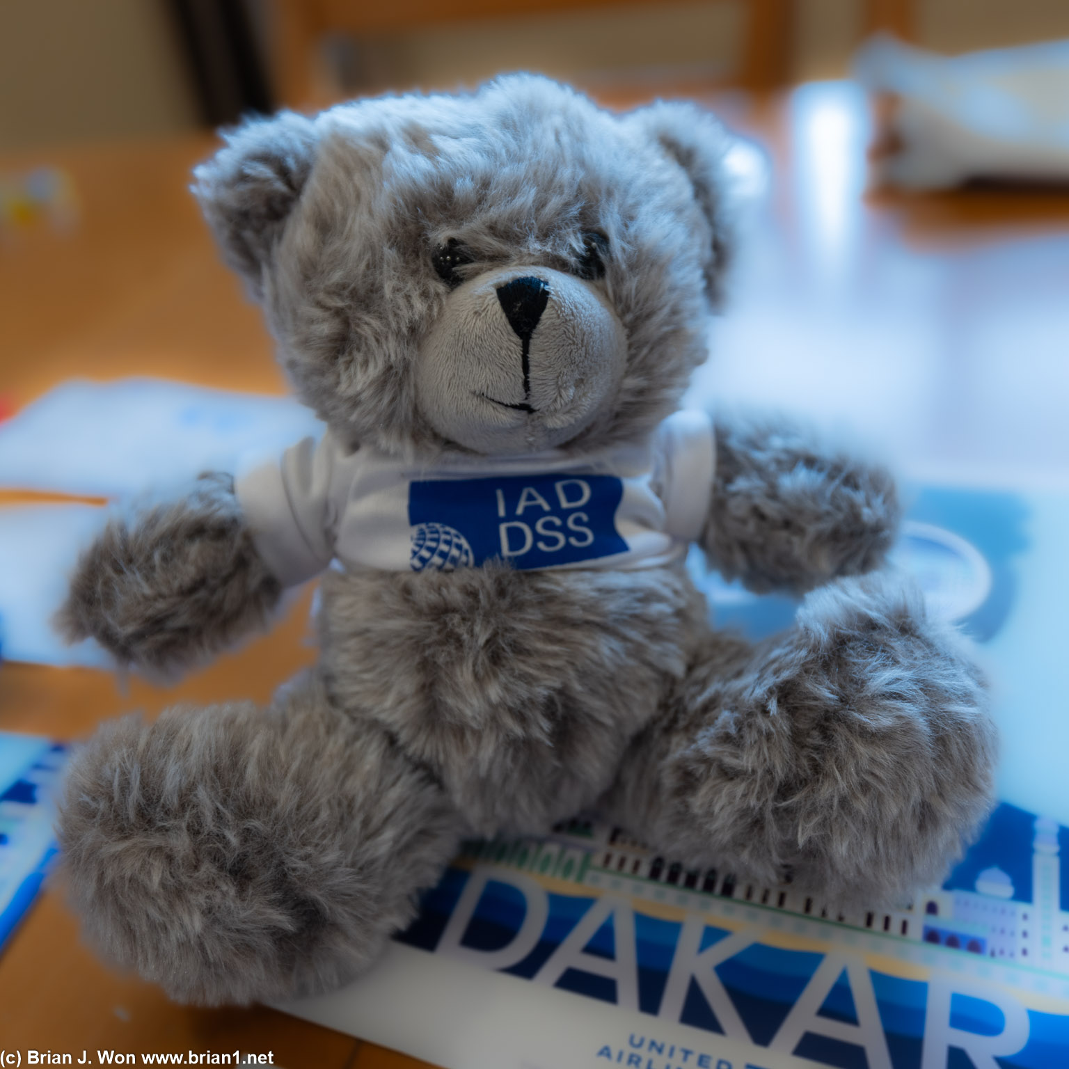 Commemorative teddy bear.