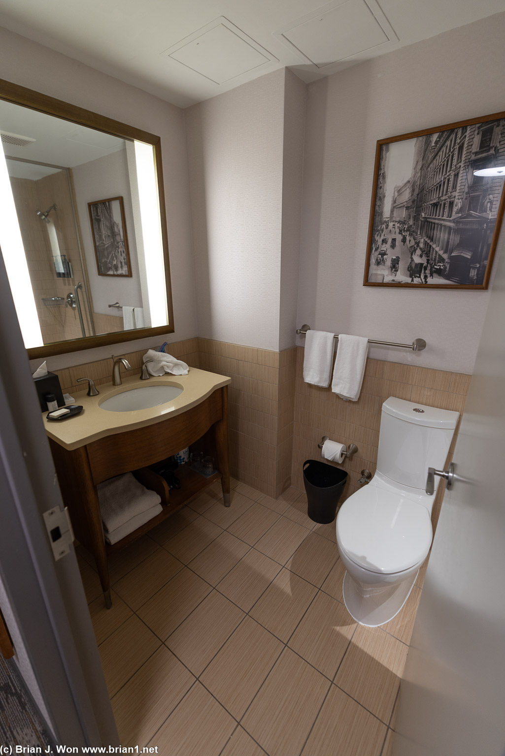 Bathroom shows how dated the hotel really is.
