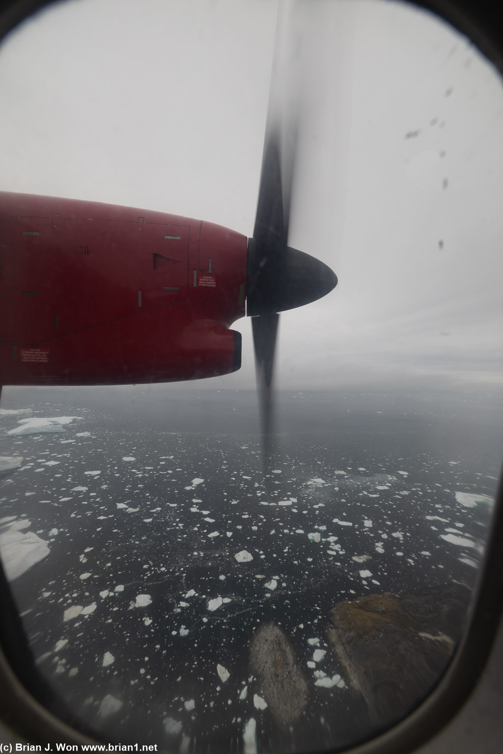 Enjoying more sea ice.