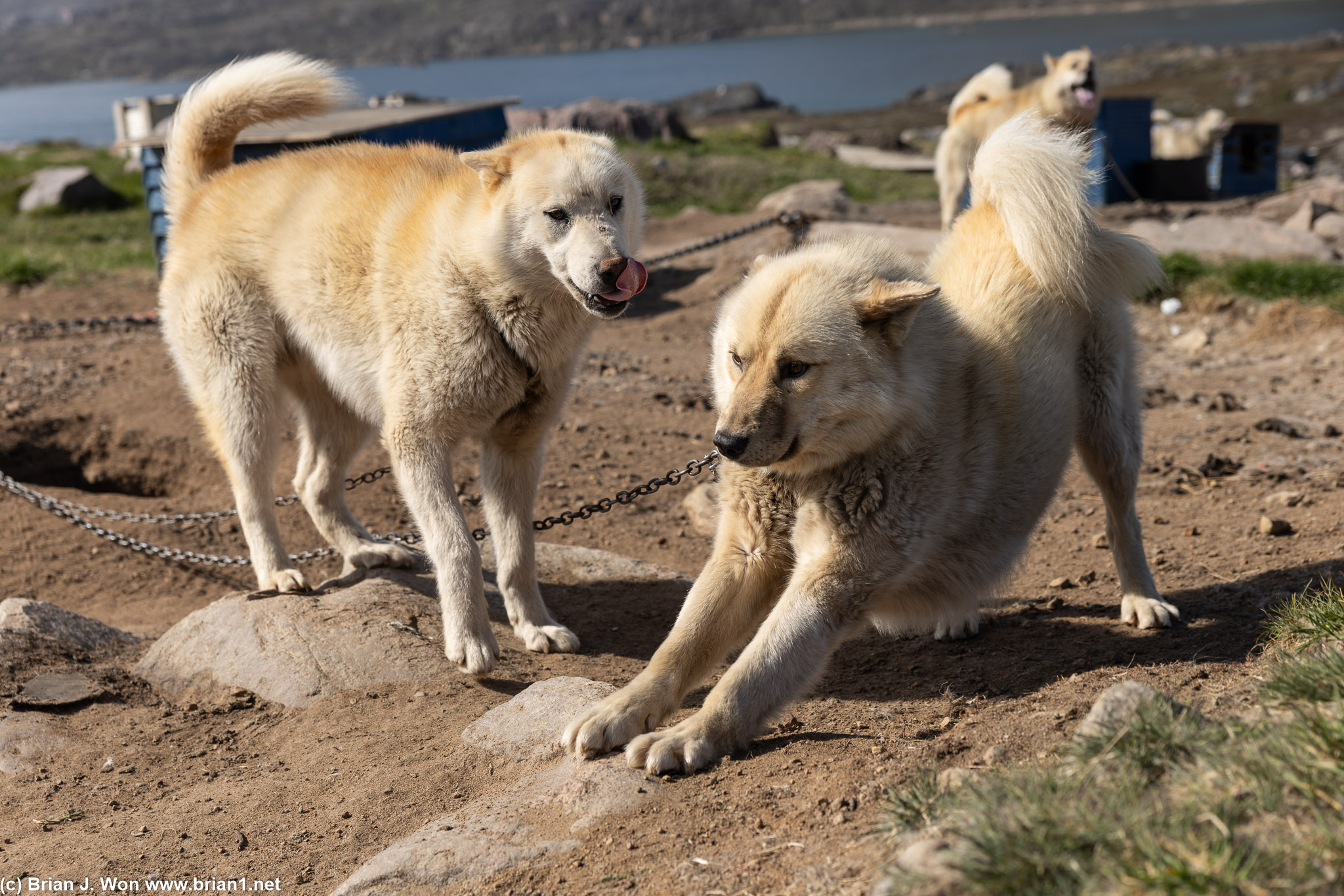 Stretching.