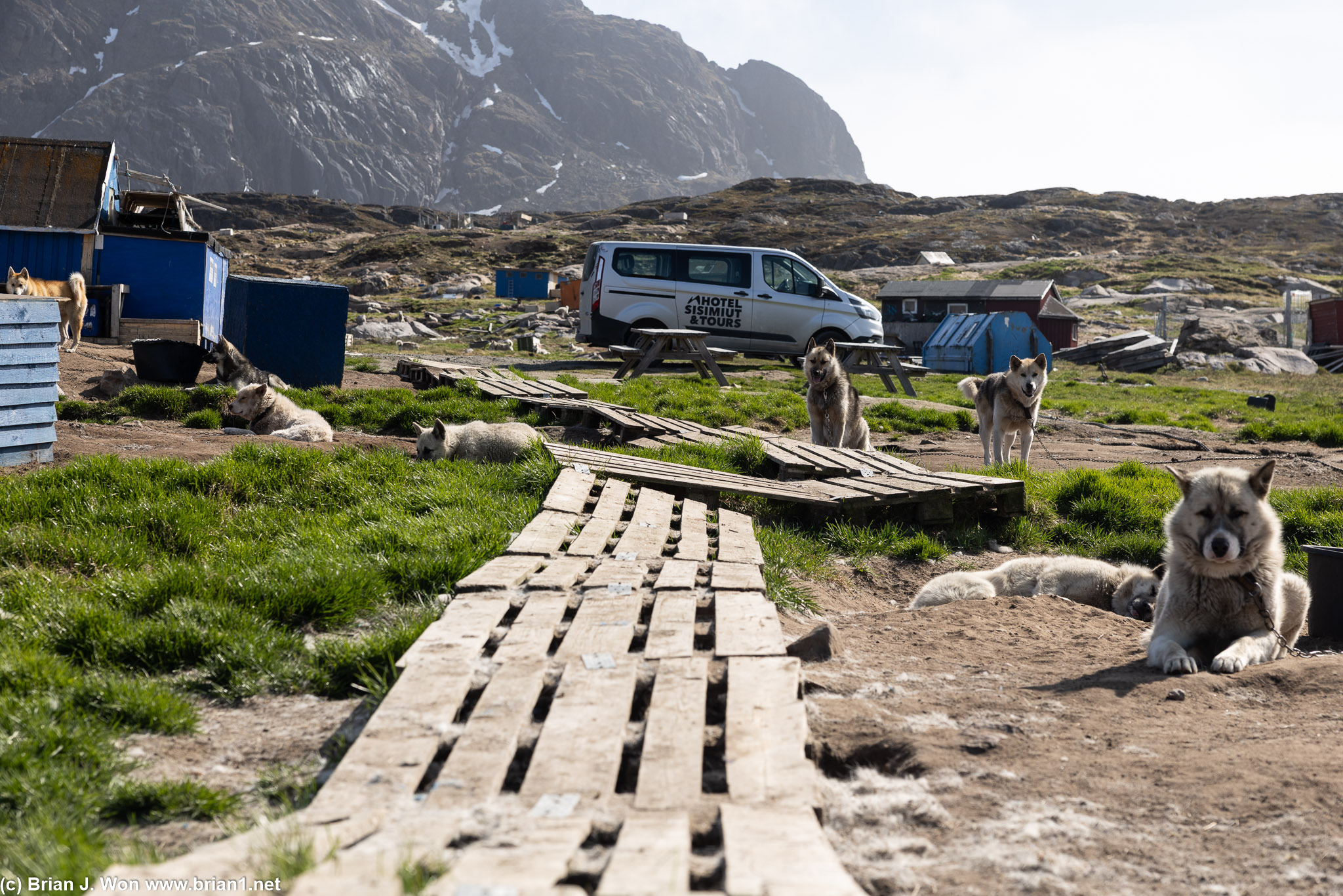 Stay on the wooden path if you can to avoid any poo. You might still get pee'd on.