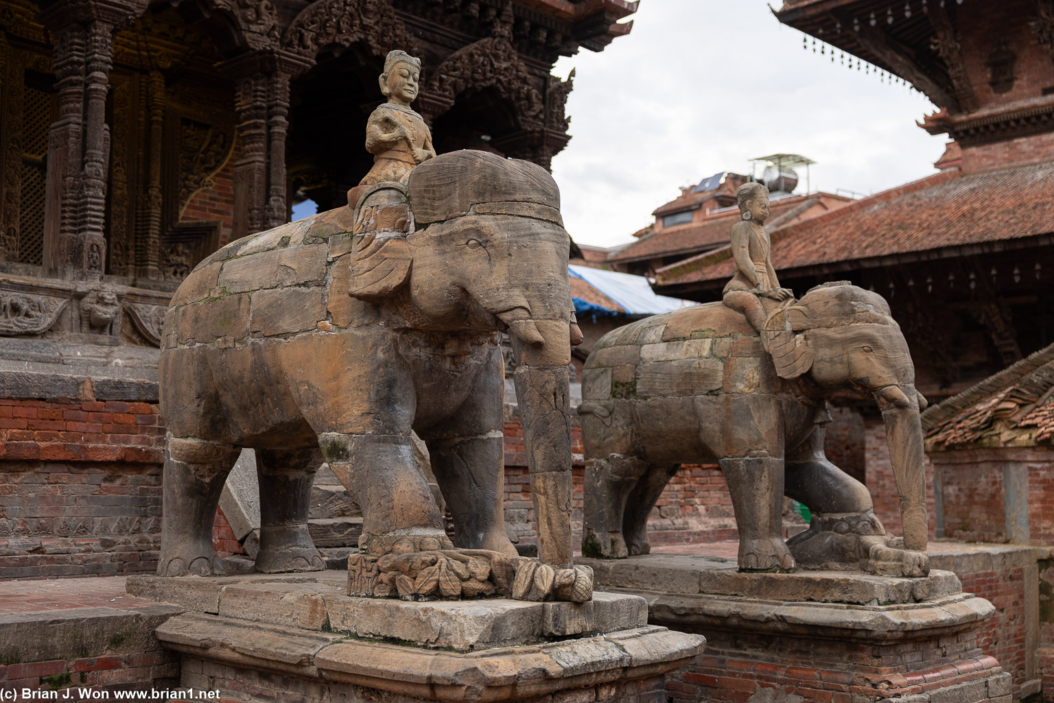 Elephants.