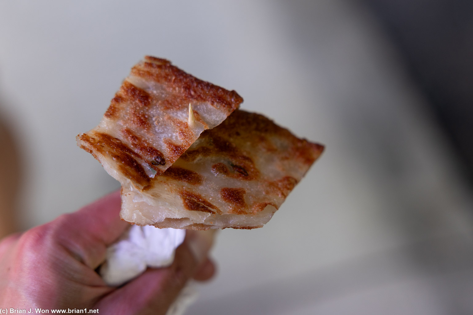Green onion pancake.