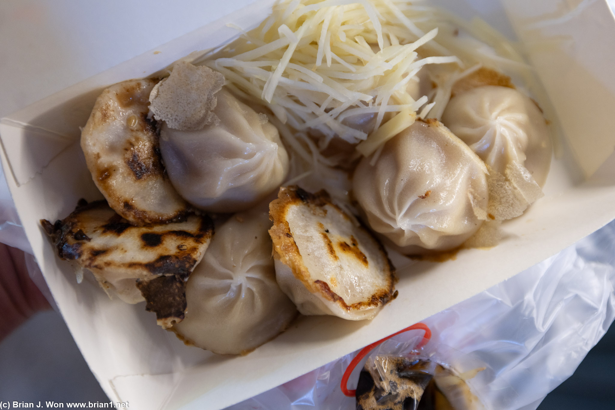 Pan fried xiao long bao pretty good.