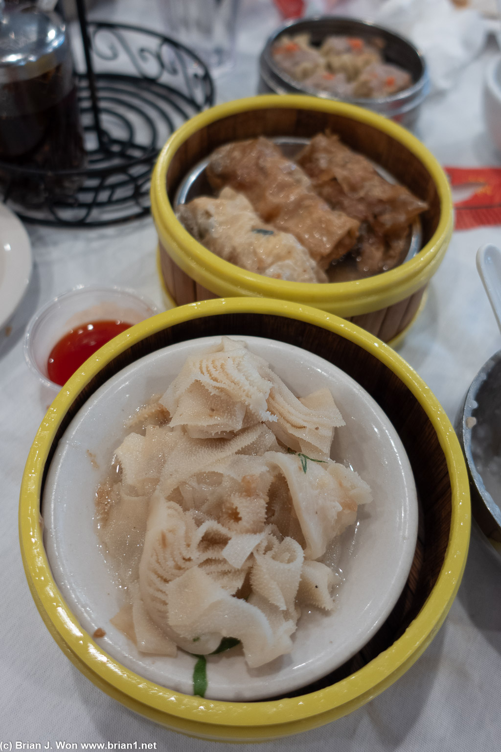 Ngau paak yip (ginger beef tripe) was actually very decent.