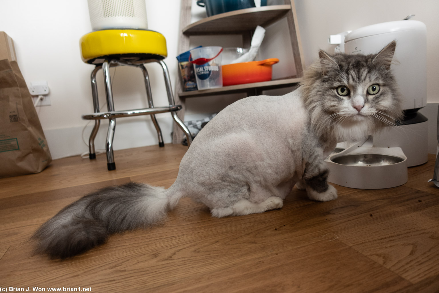 Nikolai got shaved.