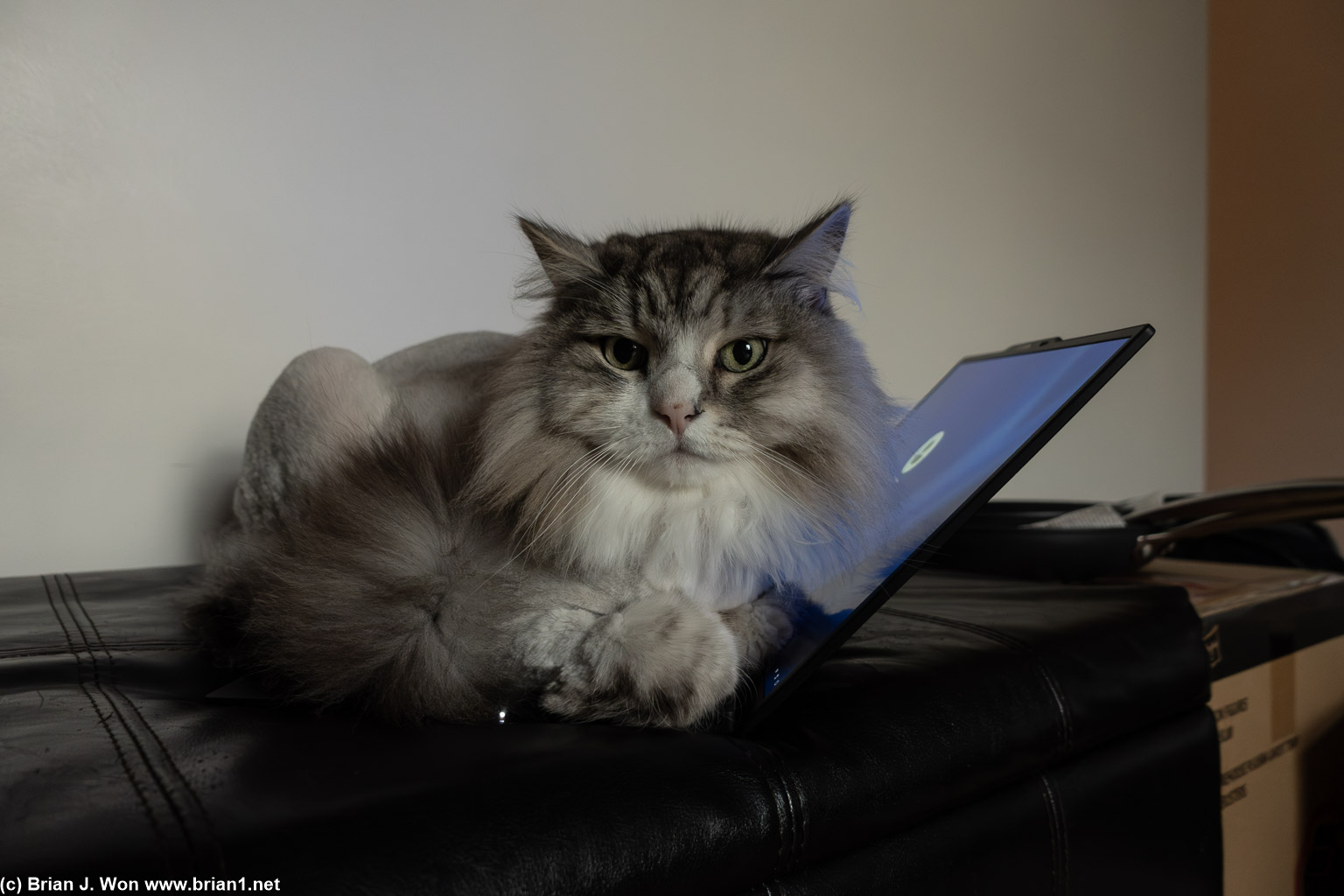 "I'm sorry, you are not working any more today."