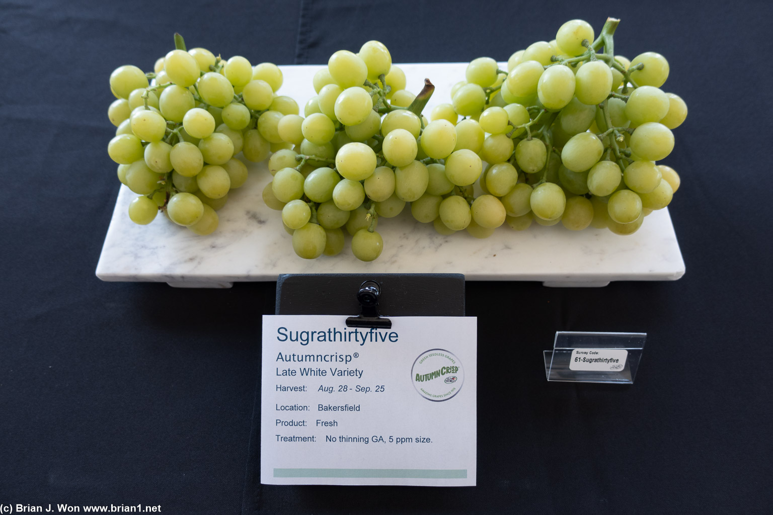 Sugrathirtyfive, commerically known as Autumncrisp, was presented two ways, one fresh, one from cold storage.