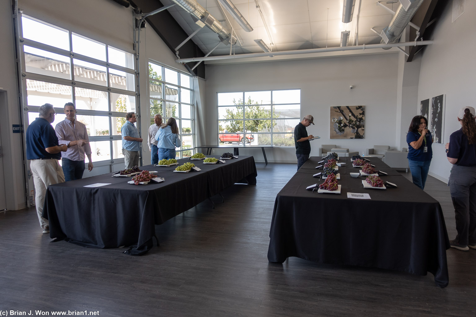 The tasting hall.