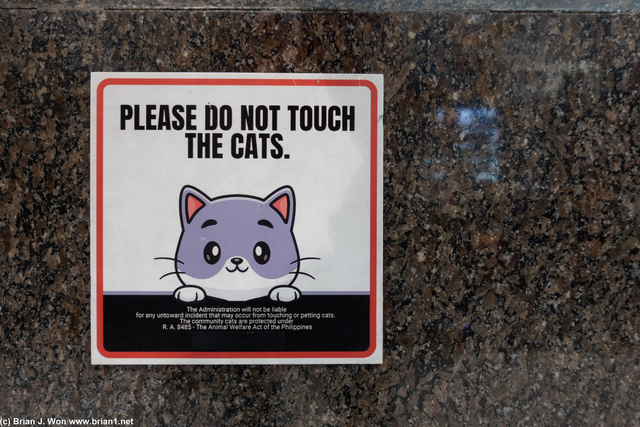 Another sign says do not feed the cats.