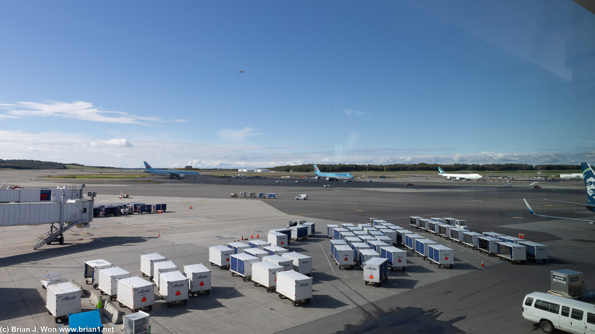 Lots of freighters.