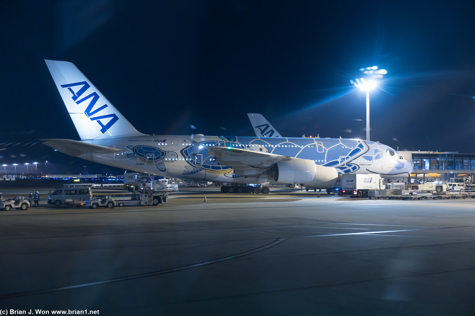 Flying Honu, aka ANA Airbus A380.