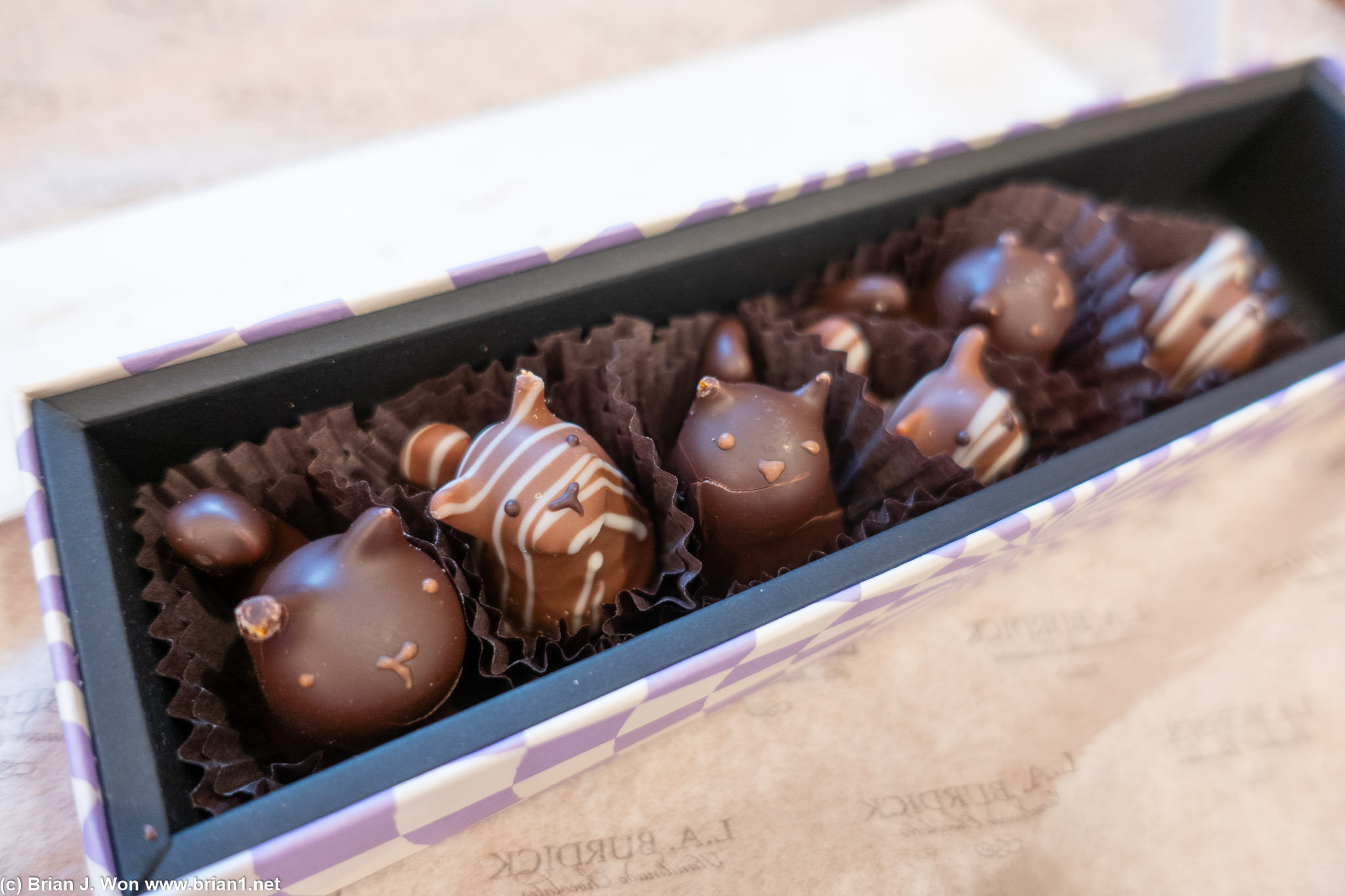LA Burdick chocolate cats. A bit worse for wear.