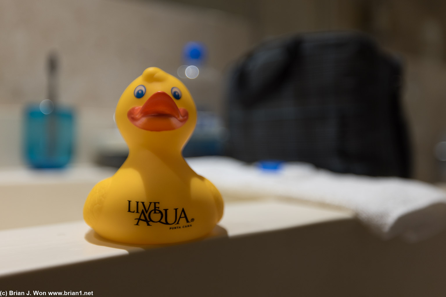 Live Aqua... water theme... rubber ducks to go with the water features everywhere?