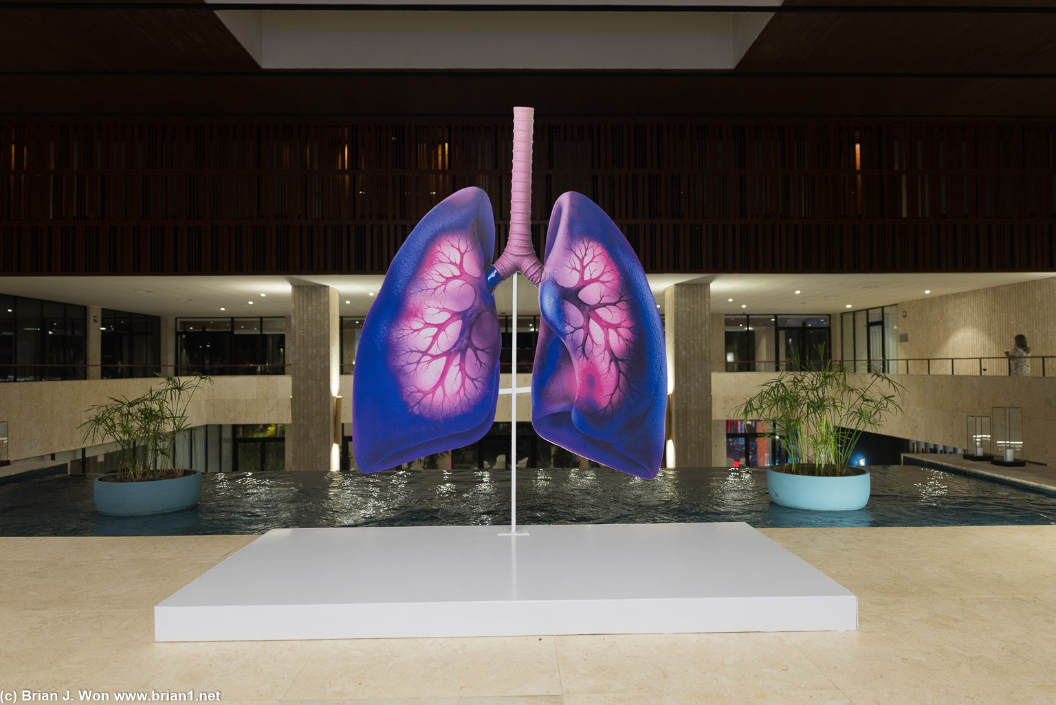 Some sort of big medical conference going on?