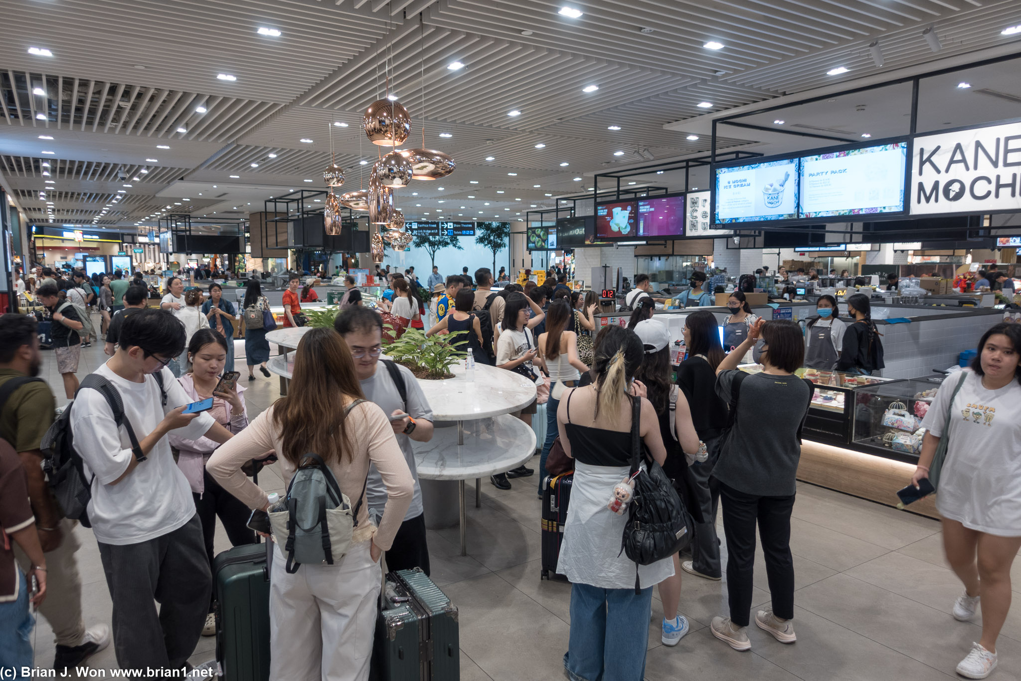 Mr. Coconut had a crazy line.