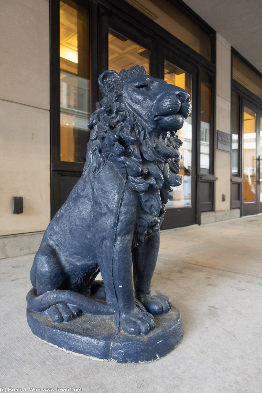 Lions outside the Hotel Saint Louis.