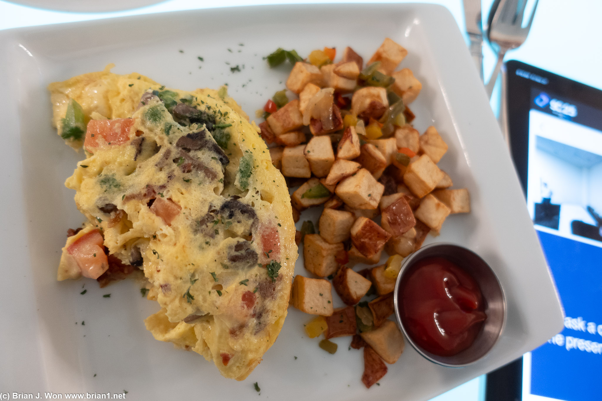 One last hotel omelet.